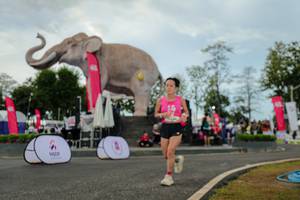 BIB: 
                            <button type="button" onclick="openModal(26528845)" class="btn btn-primary btn-sm float-right btn-popup" data-toggle="modal" data-target=".modal-high-quality">
                        <i class="fas fa-shopping-cart"></i> Add to Cart
                    </button>
                                            <button type="button" onclick="isThisMe(26528845, true)" class="btn btn-success btn-sm float-right btn-popup btn-isme hidden" data-toggle="tooltip" data-placement="bottom" title="นี่คือรูปของคุณใช่ไหม คลิกที่นี่เพื่อเอาเข้าอัลบั้ม">
                        <i class="fas fa-plus"></i> Add to album
                    </button>
                    <button type="button" onclick="isThisMe(26528845, false)" class="btn btn-warning btn-sm float-right btn-popup btn-isnotme hidden">
                        <i class="fas fa-ban"></i> Remove from album
                    </button>